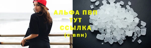 дмт Абаза
