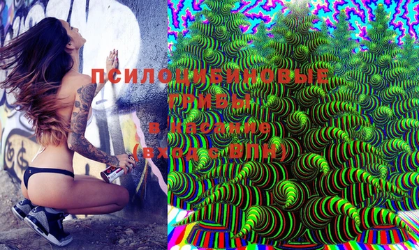 PSILOCYBIN Алзамай