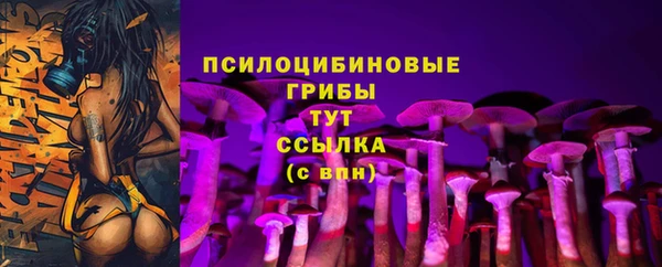 PSILOCYBIN Алзамай